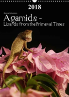 Agamids - Lizards from the Primeval Times 2018