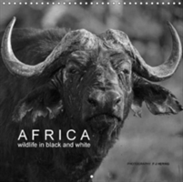 Africa Wildlife in Black and White 2018