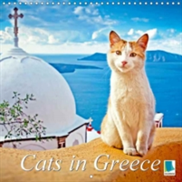 Cats in Greece 2018