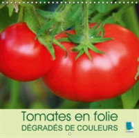 Tomates En Folie - Degrades De Couleurs 2018