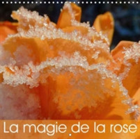 Magie De La Rose 2018
