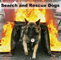 Search and Rescue Dogs 2018