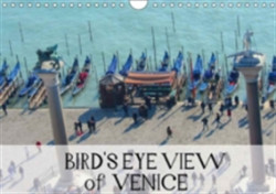 Bird's Eye Venice 2018