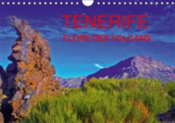 Tenerife Flore Des Volcans 2018