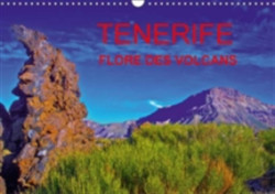 Tenerife Flore Des Volcans 2018