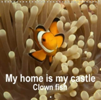 My Home is My Castle - Clown Fish 2018