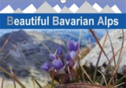 Beautiful Bavarian Alps 2018