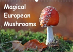 Magical European Mushrooms 2018