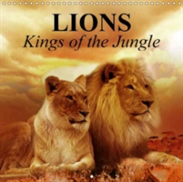 Lions Kings of the Jungle 2018