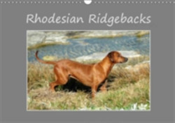 Rhodesian Ridgebacks 2018