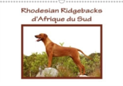 Rhodesian Ridgebacks D'afrique Du Sud 2018