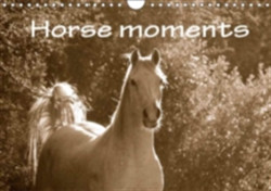 Horse Moments 2018