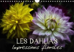 Dahlias Impressions Florales 2018