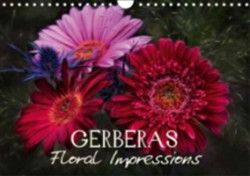 Gerberas Floral Impressions 2018