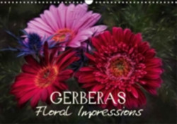 Gerberas Floral Impressions 2018