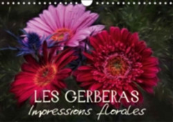 Gerberas Impressions Florales 2018