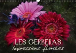 Gerberas Impressions Florales 2018