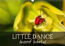 Little Dance Insect World 2018