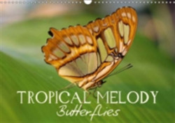 Tropical Melody Butterflies 2018