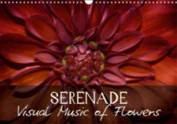 Serenade Visual Music of Flowers 2018