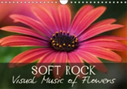 Soft Rock Visual Music of Flowers 2018