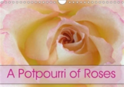 Potpourri of Roses 2018