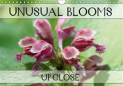 Unusual Blooms Up Close 2018