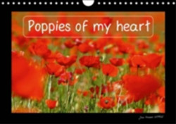 Poppies of My Heart 2018