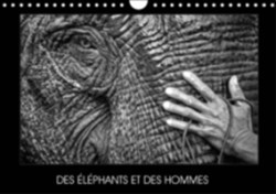 Des Elephants Et Des Hommes 2018