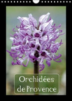 Orchidees De Provence 2018