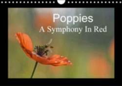 Poppies A Symphony in Red 2018