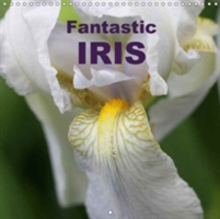 Fantastic Iris 2018