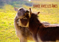 Danse Avec Les Anes 2018