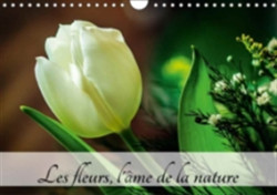 Fleurs, L'ame De La Nature 2018