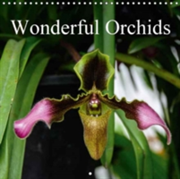 Wonderful Orchids 2018