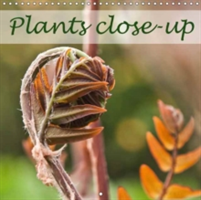 Plants Close-Up 2018