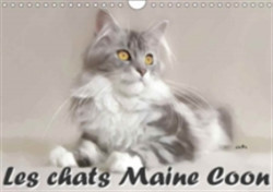 Chats Maine Coon 2018