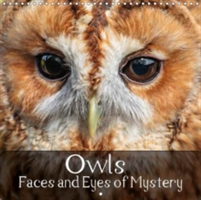 Owls Faces and Eyes of Mystery 2018