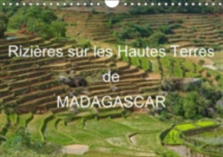 Rizieres Sur Les Hautes Terres De Madagascar 2018