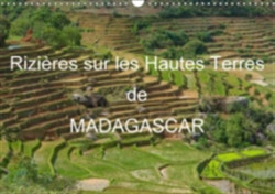 Rizieres Sur Les Hautes Terres De Madagascar 2018
