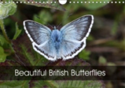 Beautiful British Butterflies 2018