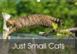 Just Small Cats 2018
