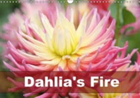 Dahlia's Fire 2018