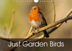 Just Garden Birds 2018