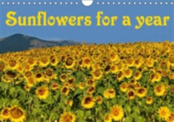 Sunflowers for a Year 2018