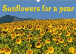 Sunflowers for a Year 2018