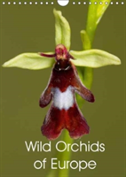 Wild Orchids of Europe 2018