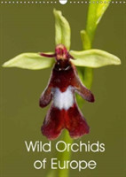 Wild Orchids of Europe 2018