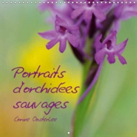Portraits D'orchidees Sauvages 2018