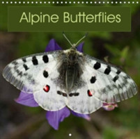 Alpine Butterflies 2018